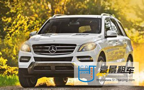 春節(jié)租車(chē)