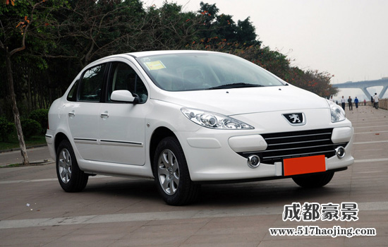 小轎車(chē)?標(biāo)準(zhǔn)307圖片1